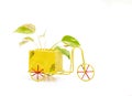 A hand-painted distressed-looking rustic tricycle with pretty green plants
