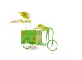 A hand-painted distressed-looking rustic tricycle with pretty green plants