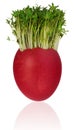 Handmade painted easter egg in a funny cress like hair colored