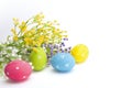 Hand painted Easter eggs and flowers isolated on white. Royalty Free Stock Photo
