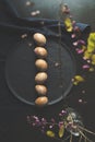 Hand painted easter eggs lined up in a row on black background with spring flowers, top view shot Royalty Free Stock Photo