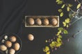 Hand painted easter eggs in wooden crate with spring flowers, top view shot Royalty Free Stock Photo