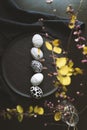 Hand painted easter egss in wooden crate with spring flowers, top view shot Royalty Free Stock Photo