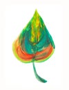 Hand painted element. Watercolor leaf. Botanical detail for cards, poster, scrabooking, web, invitations.