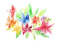 Hand painted elements for design. Watercolor flowers. Botanical detail for cards, poster, scrabooking, web, invitations.