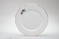 Hand-painted empty dinner plate Royalty Free Stock Photo