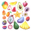 Hand painted exotic fruits set Royalty Free Stock Photo