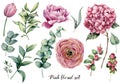 Hand painted floral elements. Watercolor botanical illustration with ranunculus, tulip, peony, hydrangea flowers Royalty Free Stock Photo