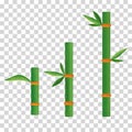 Hand painted green bamboo branches can be used as a variety of design elements