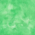 Hand painted green watercolor background. Texture for your design.