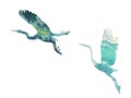 Hand painted herons in flight isolated