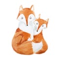 Hand-painted illustration of mother fox and baby sitting together