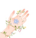 Hand-painted hand illustrations