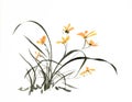 Ink brush painting of wild orchid in Chinese traditional art style Royalty Free Stock Photo