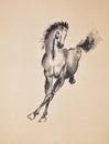 Hand painted ink brush painting of horse in oriental style Royalty Free Stock Photo