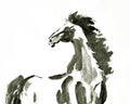 Hand painted ink brush painting of horse in oriental style Royalty Free Stock Photo