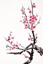 Hand painted ink brush painting of blossoms in oriental style , sumi-e painting