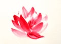 Hand painted ink brush painting of lotus flower in Chinese oriental style