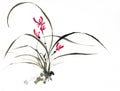 Ink brush painting of wild orchid in Chinese traditional art style Royalty Free Stock Photo