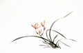 Ink brush painting of wild orchid in Chinese traditional art style Royalty Free Stock Photo