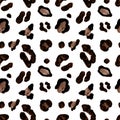 Leopard skin seamless pattern. Watercolor hand drawn brown and black spots and wild cat fur rosettes on white background. Royalty Free Stock Photo