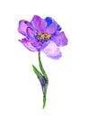 Hand painted modern style purple flower