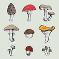 Hand- painted mushrooms set