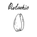 Hand painted nut on an isolated white background. Black outline pistachio. Vector illustration