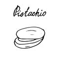 Hand painted nut on an isolated white background. Black outline pistachio. Vector illustration