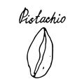 Hand painted nut on an isolated white background. Black outline pistachio. Vector illustration