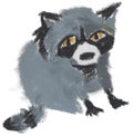 The hand painted oil paste raccoon Royalty Free Stock Photo