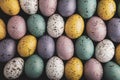 Hand painted pastel colored Easter eggs background. Royalty Free Stock Photo