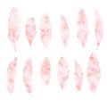Hand painted pink watercolor feathers set isolated on white background. Abstract boho decoration elements