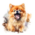 Hand Painted Pomeranian Dog Watercolor