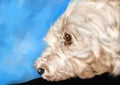 Hand painted portrait of a poodle dog