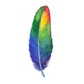 Hand-painted rainbow watercolor bird feather isolated on white background