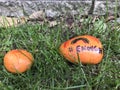 Hashtag Enough Gun Violence, Orange Painted Rocks, Rutherford, NJ, USA