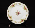 Hand painted rose pattern china dinner plate Royalty Free Stock Photo