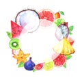 Hand painted round fruit frame Royalty Free Stock Photo