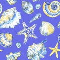 Hand painted seashells pattern. Watercolor vintage ocean background. Original hand drawn illustration. Marine design