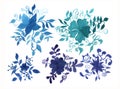 Hand painted elements for design. Watercolor flower. Botanical detail for cards, poster, scrabooking, web, invitations.