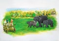 Hand painted using Gouache - Adventure Wild safari
