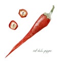 Hand painted vegetable red chili pepper. Watercolor vegeterian healthy food for design menu