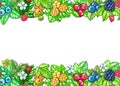 Hand painted watecolor Seamless border with berries and leaves