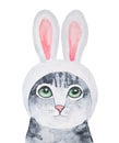 Watercolour illustration of cute little tabby kitten wearing bunny ear hat.