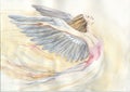 Hand painted watercolor angel Royalty Free Stock Photo