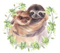 Hand painted watercolor animals illustration. Cute couple smiling sloths.