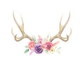 Watercolor Flowers Florals Antlers Deer Stag Horns Bone Painted Royalty Free Stock Photo