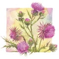 Floral composition with thistle field herbs.