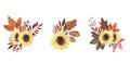 Hand painted watercolor Autumn Bouquet set with sunflower, leaves and berries Royalty Free Stock Photo